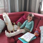 phoca_thumb_m_u leuky 7 Fotogalerie